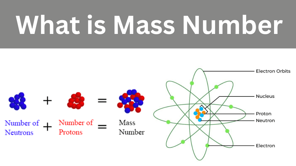 What is Mass Number