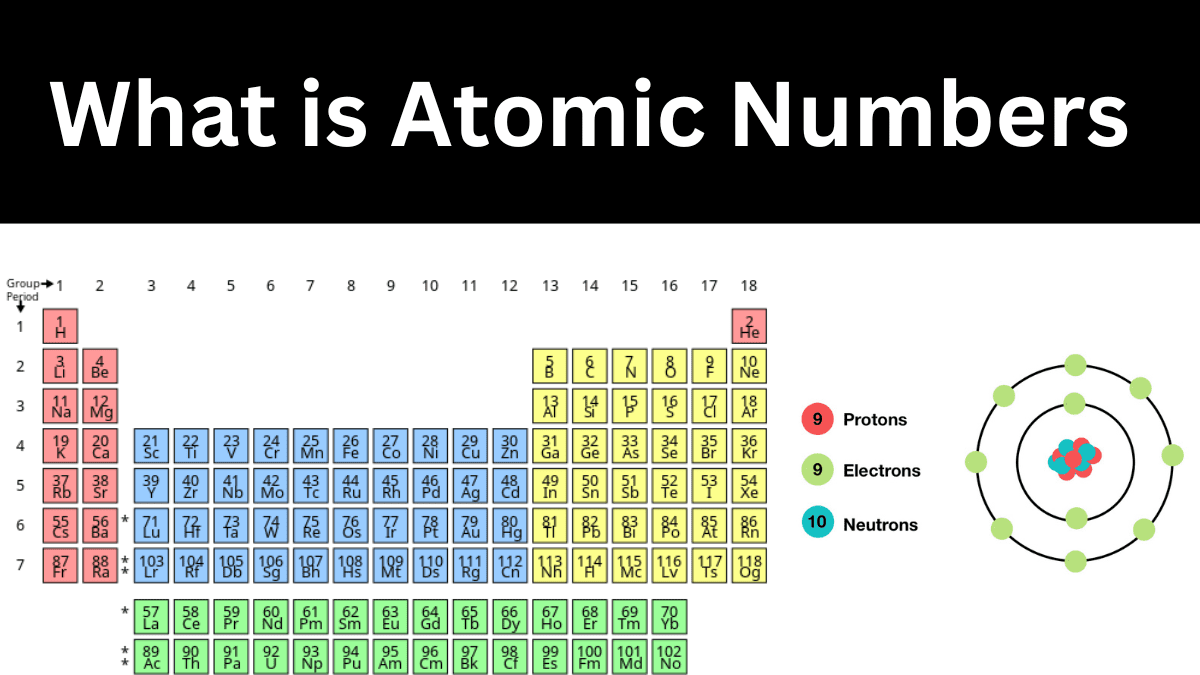 What is Atomic Number